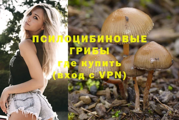 спиды Баксан