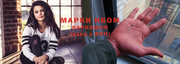 гашик Снежногорск