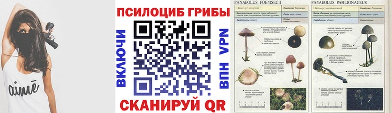 Галлюциногенные грибы ЛСД  Белореченск 